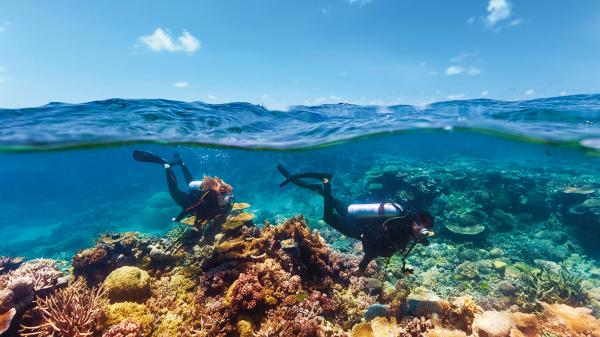 great barrier reef scuba